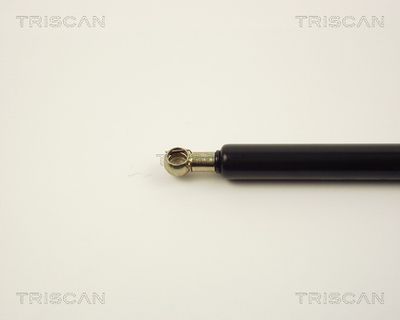 AMORTIZOR PORTBAGAJ TRISCAN 87102508 1