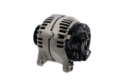 GENERATOR / ALTERNATOR REMANTE 011003000117R 17