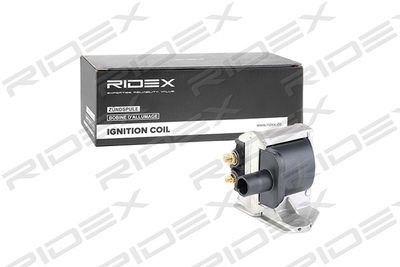 Катушка зажигания RIDEX 689C0242 для PUCH G-MODELL