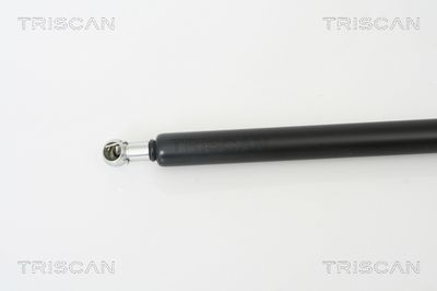 AMORTIZOR PORTBAGAJ TRISCAN 871050241 1