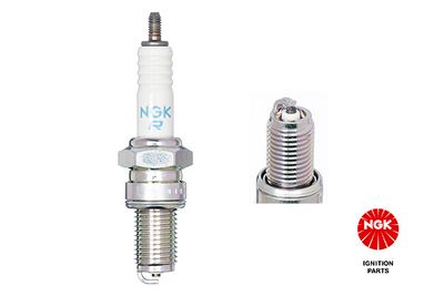 Spark Plug 3123