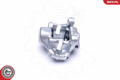 Brake Caliper 42SKV734