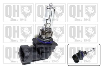 BEC FAR FAZA LUNGA QUINTON HAZELL QBL9005 1