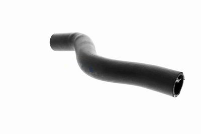 FURTUN RADIATOR ACKOJA A261604 2