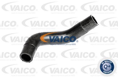 Шланг радиатора VAICO V25-2321 для FORD RANGER