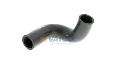 FURTUN AERISIRE CHIULASA VAICO V401784 57