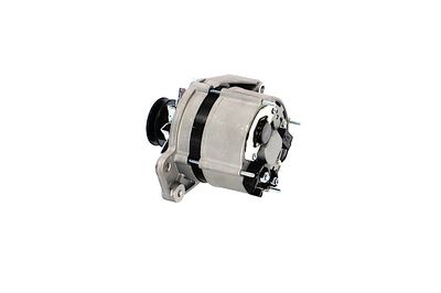 GENERATOR / ALTERNATOR REMANTE 011003000469R 18