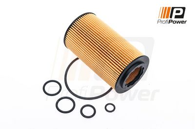 alyvos filtras 1F0115 ProfiPower