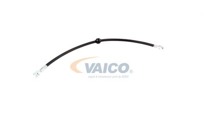 FURTUN FRANA VAICO V201909 57