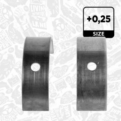 SET RULEMT ARBORE COTIT ET ENGINETEAM LH002425 2