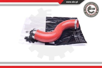 ESEN SKV 24SKV810 Деталь для RENAULT SCÉNIC III (JZ0/1_) 1.9 dCi (JZ0J, JZ1J, JZ1K, JZ1S) ESEN SKV 24SKV810 Деталь для RENAULT SCÉNIC III (JZ0/1_) 1.9 dCi (JZ0J, JZ1J, JZ1K, JZ1S)