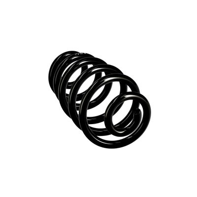 ARC SPIRAL EIBACH R10574 11