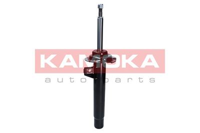 Shock Absorber 2000382