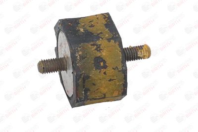 SUPORT MOTOR BIRTH 5282 12