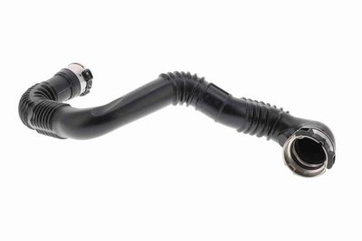 FURTUN EAR SUPRAALIMENTARE ACKOJA A380618 3