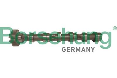 AX CU CAME Borsehung B12524