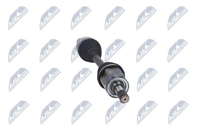 PLANETARA NTY NPWLR041 31