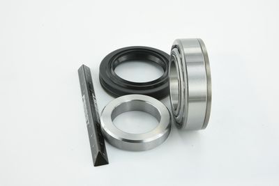 RULMENT AX CARDANIC FEBEST KITCH 13