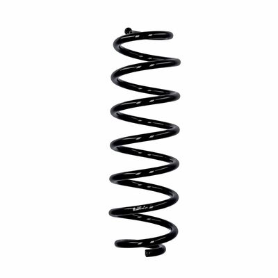 ARC SPIRAL EIBACH R10793 25