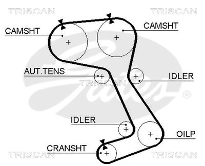 CUREA DE DISTRIBUTIE