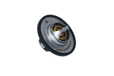 TERMOSTAT LICHID RACIRE NRF 725156 41