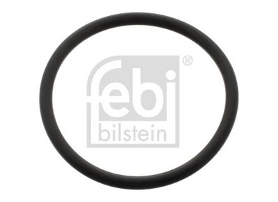 FEBI BILSTEIN Dichtring, Achsschenkel