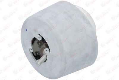SUPORT MOTOR BIRTH 50746 4