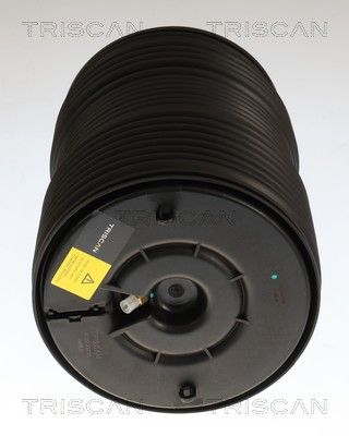 ARC PNEUMATIC DIRECTIE TRISCAN 872023211 1