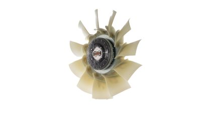 360 Grad Ansicht 5