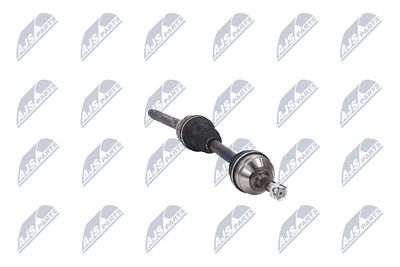 PLANETARA NTY NPWCT155 13