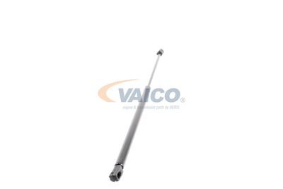 AMORTIZOR PORTBAGAJ VAICO V250555 51