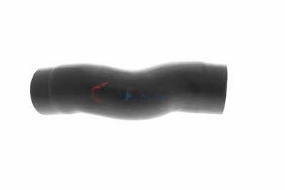 FURTUN EAR SUPRAALIMENTARE ACKOJA A529602 6