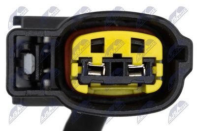 DISTRIBUITOR NTY EZCKA088 6