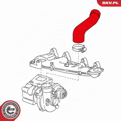FURTUN EAR SUPRAALIMENTARE ESEN SKV 24SKV717 3
