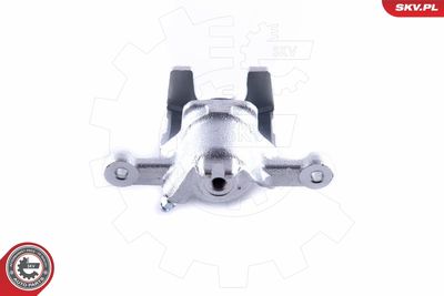 Brake Caliper 55SKV083