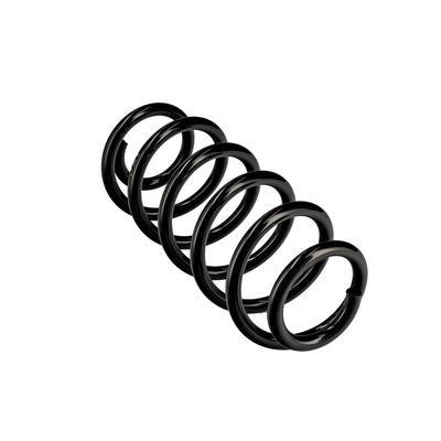 ARC SPIRAL EIBACH R10442 11