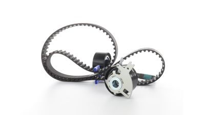 SET CUREA DE DISTRIBUTIE SKF VKMA03305 16