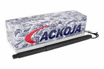 MOTOR ELECTRIC HAION ACKOJA A63550001 1