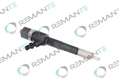 INJECTOR REMANTE 002003001711R 3