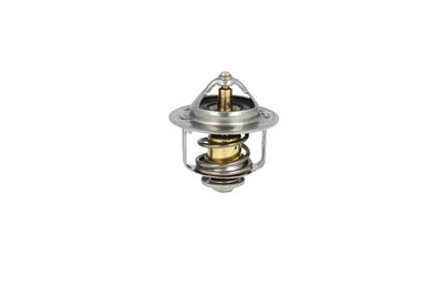 TERMOSTAT LICHID RACIRE NRF 725167 4