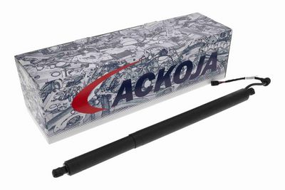 MOTOR ELECTRIC HAION ACKOJA A52550012 1