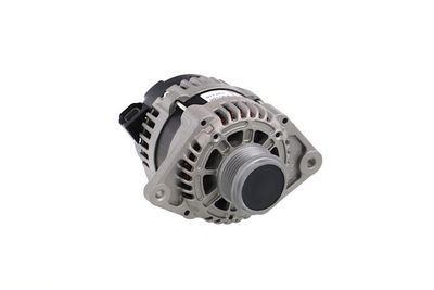 GENERATOR / ALTERNATOR REMANTE 011003001146R 56