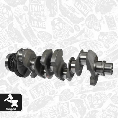 ARBORE COTIT ET ENGINETEAM HK0220 2