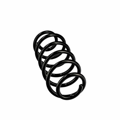 ARC SPIRAL EIBACH R10270 24