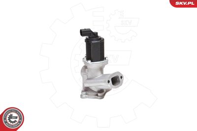 EGR Valve 14SKV031