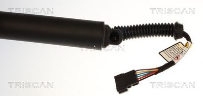 Plynárenská vzpera (pneumatická pružina), zavazadlový priestor TRISCAN 8710 11372