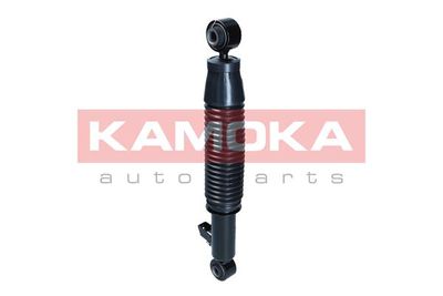 Shock Absorber 2001211