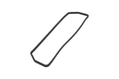 GARNITURA CAPAC SUPAPE