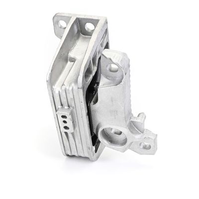 LAGERUNG MOTOR DELPHI TEM293 3