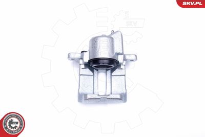 Brake Caliper 45SKV292